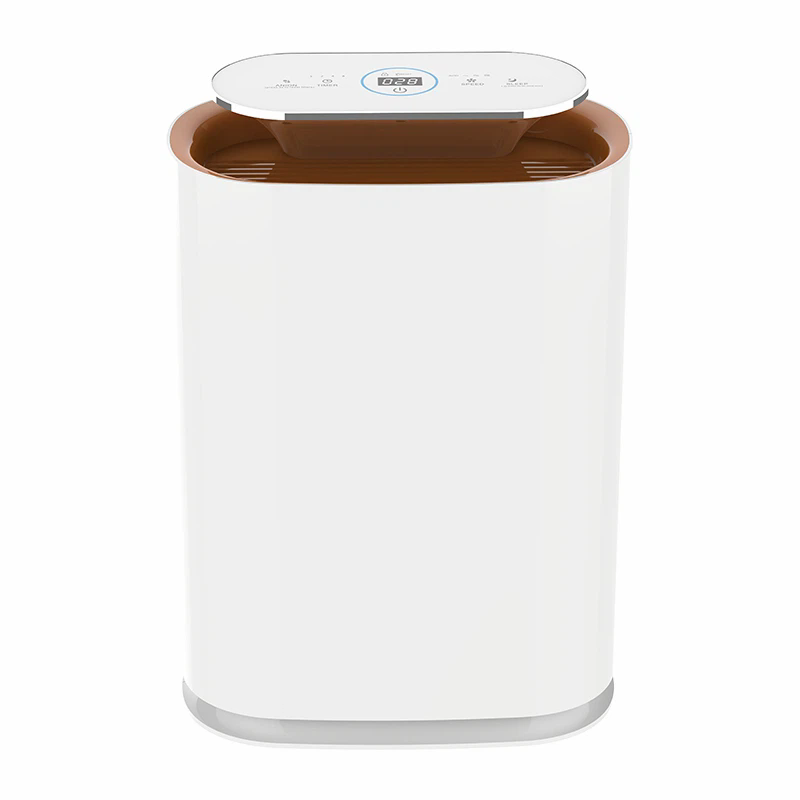 Air Purifier For Newly Renovated Homes